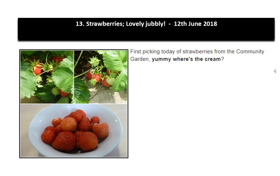 Lovely Jubbly - 12th June